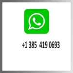 kf-Adec4dc8c4a0648c38a7bcd84814671b31-Bee-X-lisence