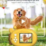 kf-A05efd543e38748e3b0dbc6063fbe57035-