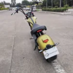kf-S98c7d10a6fe04599a652809d15a85d60k-Citycoco-Deutschland
