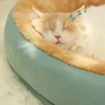 kf-S2ed6248a81564310910d2bd28ca748bar-Kimpets-Cat-Bed-Dog-Pet-Bed-Kennel-Non-Slip-Winter-Warm-Small-Dog-Kennel-Sleeping-Removed