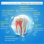 kf-Sae003bc3f0cc4750999dc2316db6a577H-Desktop-Teeth-whitening-accelerator-10-pcs-Cold-Light-LED-Teeth-Bleach-Machine-Professional-For-Dental