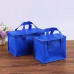 kf-Sbcd5308e1bf04f48be0f4cbacda8fea3m-Beer-Cooler-Portable-Bag-Folding-Food-Thermal-Storage-Bag-Insulation-Picnic-Ice-Pack-Drink-Carrier-Insulated