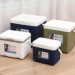 Cooler Box with Handle Portable Personal 6L Ice Chest Small Hard Insulated Box Ice Box for Barbecue Boat Camping Party Outdoor