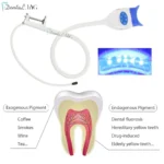 kf-Sae0c058b45794399b064eff50b5e32d8W-Blue-Color-Dental-Teeth-Whitening-Lamp-Bleaching-Accelerator-Cold-Light-Device-Machine-10Pcs-Lamp-Beads-Dentistry