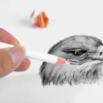 kf-S3a5e680d10a2431bb5bf5984e0de1a37E-