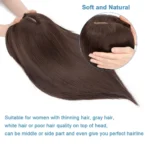 kf-S57ab792b6bdb4dbe9e74c8a95c2d06cfq-Benehair-14-Striaght-Hair-Toppers-with-Side-Bangs-for-Women-Synthetic-Hairpieces-Adding-Hair-Volume-Topper