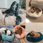 kf-S3b4075da86394927ad8430453767b647R-Rectangle-Plush-Dog-Bed-Winter-Warm-Mat-Small-Medium-Big-Pet-Cat-Dog-Bed-Kennel-Puppy