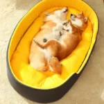 kf-S9516f329200c48bab2a7e3a708e61c88N-Pet-Dog-Bed-Four-Seasons-Universal-Big-Size-Extra-Large-Dogs-House-Sofa-Kennel-Soft-Pet