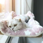 kf-S39c829b98c1942a3b09be0a42295bb2cX-Hanging-Cat-Bed-Pet-Cat-Hammock-Aerial-Cats-Bed-House-Kitten-Climbing-Frame-Sunny-Window-Seat