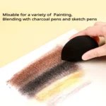 kf-S54eb62268e73441faaa61d4a165e53a3a-Charcoal-Powder-Professional-Ultra-Soft-Artist-Pastel-Non-Toxic-and-Odorless-Water-Soluble-Blendable-Finest-Pigment