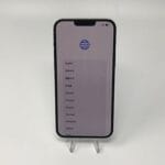 1-1319JPG