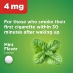 41MZWgGnp2L_AC_jpg