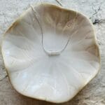 il_fullxfull5499372357_dkl4jpg