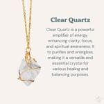 il_fullxfull5895595526_a6lrjpg