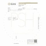 il_fullxfull5499372357_dkl4jpg