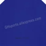 kf-Hc26ccf4c398847b09e4e50170e851a69Y-SANWEI-TARGET-Provincial-Table-tennis-rubber-PRO-BLUE-SPONGE-quick-attack-loop-pimples-in-with-sponge