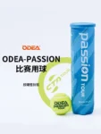 kf-Sbfbab3c8f55045d6a50d4c506b6954a74-Match-Ball-High-Rebound-Play-Resistance-Practice-Training-4-Canned-Tennis
