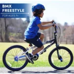 kf-S52dc82b738304e34823ea63c356cfd0dA-2024-New-Bicycles-20-Boy-s-Ambush-BMX-Child-Bike-Black-Blue