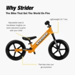 kf-S7924570f03c14d5baacd8fba42a6ebfdI-12-Sport-Bike-No-Pedal-Balance-Bicycle-for-Kids-1-to-4-Years-Includes-Safety-Pad