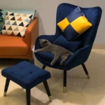 kf-Sbd1505ed0e284a468b9aa004a2998bccQ-Single-Sofa-Chair-Modern-Lazy-Sofa-Balcony-Leisure-Armchair-American-Cloth-Tiger-Chair-L-B