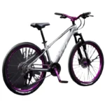 kf-Sc243170138e341da94ce9aa08cea74d6i-FJ-Magnesium-Alloy-Lightweight-Variable-Speed-Shock-Absorber-Dual-Disc-Brake-Outdoor-Mountain-Bike-Young-Road