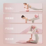 kf-S1d15750cb500432fb605b4d5d7d869b6V-Women-Gym-Yoga-Fitness-Ball-Thickening-Type-Anti-explosion-Diameter-25-cm-Pilates-Workout-Mini-Ball