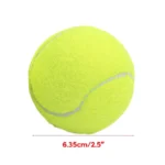 kf-S7c52a56486c14a0080c6df55d72ee76eB-G92F-Tennis-Balls-for-Kids-Adults-Tennis-Training-Exercise-Tennis-Balls-for-Beginners