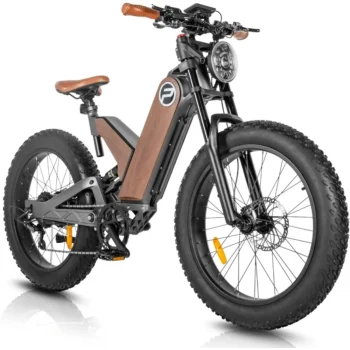 1000W Fat Tire Electric Bike 32MPH 48V 20Ah Adult Electric Bicycles Full Suspension Mountain Electric Bike with Large Display