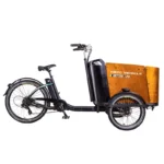 kf-Se3654922d09e457ea37be94829100375C-Cargo-electric-power-assisted-bicycle-inverted-tricycle-parent-child-car-pet-pedal-three-wheel-e-bike