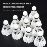 kf-See3522a1c6a44f6195f227e96cef5ac6j-12Pcs-Professional-Badminton-Balls-white-Goose-Feather-Shuttlecock-Stable-Training-Sport-Badminton-Ball-Sport-Accessories