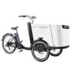 kf-Se3654922d09e457ea37be94829100375C-Cargo-electric-power-assisted-bicycle-inverted-tricycle-parent-child-car-pet-pedal-three-wheel-e-bike