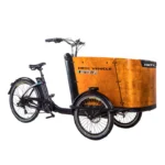 kf-Se3654922d09e457ea37be94829100375C-Cargo-electric-power-assisted-bicycle-inverted-tricycle-parent-child-car-pet-pedal-three-wheel-e-bike