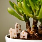 il_fullxfull5484174901_shqbjpg