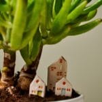 il_fullxfull5484174901_shqbjpg