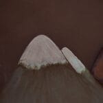 il_fullxfull5629504849_233yjpg