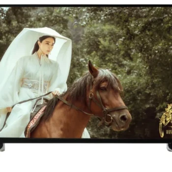 46 50 55 inch android smart home office hotel wifi network LED LCD HD TV television