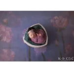 kf-He1c073d8502d41b89017c30244a1fdfdG-Newborn-Photography-Props-Vintage-Engraving-Pattern-Triangle-Basin-Studio-Fotografia-Baby-Girl-Accessories-Boy-Posing-Bed