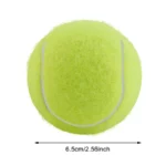 kf-Se3114e7a0af24f6bbeaf18b854ed77acl-High-Bounce-Practice-Training-Outdoor-Elasticity-Durable-Tennis-for-Dogs-Bite-Chase-and-Chomp-6-5CM