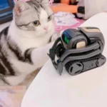 kf-S7ad86a289a7b421e8ff2e9134828b35eY-Anki-Vector2-0-Home-Smart-Robot-Children-s-AI-Smart-Companion-Toys-Artificial-Intelligence-Interactive-Robot