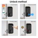 kf-A3ef0636f4fde43bfba439ea36c27c1f2l-RAYKUBE-DS02-Tuya-Smart-Fingerprint-Deadbolt-Electric-Lock-with-Latch-Auto-Lock-Key-Password-Tuya-APP