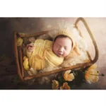 kf-S48e203d9929e43dc93ccaec4de247e8aE-Baby-Photography-Basket-Handmade-Idyllic-Retro-Small-Rattan-Bed-Newborn-Photography-Props-Furniture-Take-Photo-Background