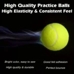 kf-Sa4ea24fd8d4c426996c44b42ee1cdf55T-3-Pcs-Of-Advanced-Training-Tennis-durable-And-Highly-Elastic-very-Suitable-For-Beginners-Rubber-Tennis