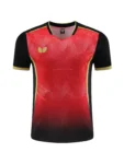 kf-S77d0822d618948ef985a18d987c73ab5n-Custom-men-s-and-women-s-table-tennis-quick-drying-T-shirt-breathable-light-badminton-T