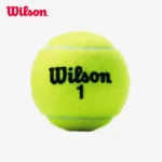 kf-S523af34820d64a929002109478f4bcefS-WILSON-2024-New-Sports-Training-Competition-Tennis-3-Sealed-Combination-Cans