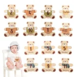 kf-S16451a7a0dfe46dda5c26d3aa738cb80V-Baby-Wooden-Milestone-Cards-Bear-Number-Monthly-Memorial-Cards-Props-Engraved-Age-Photography-Accessories-Newborn-Birthing
